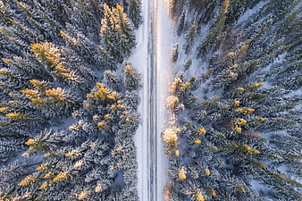 Aerial View of Snowy Forest Road in Winter