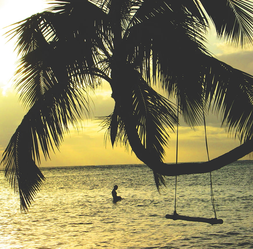 Silhouette of Palm Tree Swing Over Ocean at Sunset