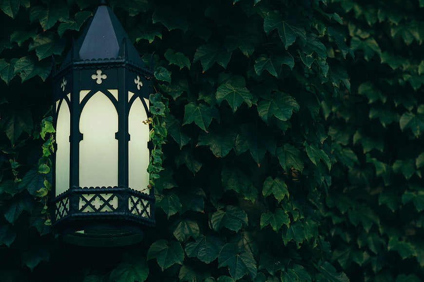 Gothic lantern glowing against dark ivy wall