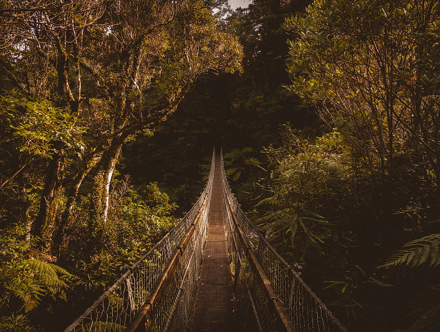 Suspenseful wooden suspension bridge in dense forest