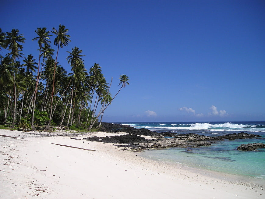 Tropical Beach with Palm Trees and Turquoise Ocean