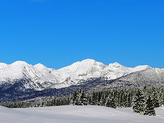 Snowy Mountain Landscape with Pine Forest and Blue Sky