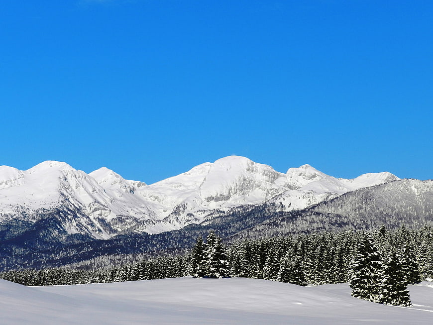 Snowy Mountain Landscape with Pine Forest and Blue Sky