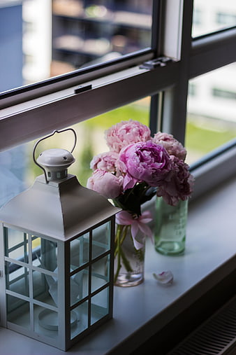 Pink Peonies and White Lantern on Window Sill