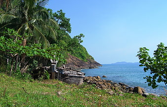 Abandoned wooden boat on tropical grassy coastline with palm trees