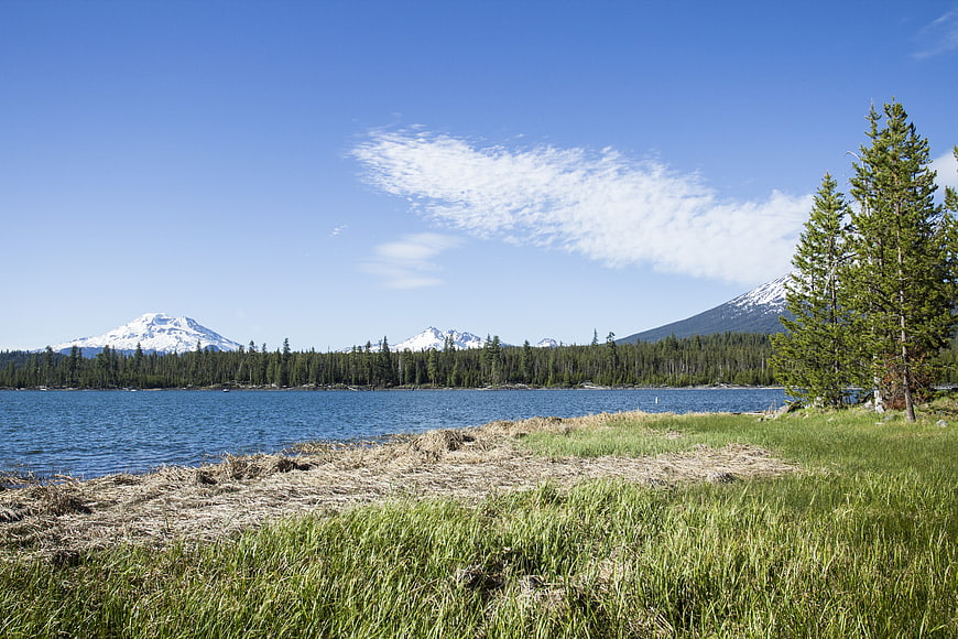 Scenic Lake View with Snow-Capped Mountains and Pine Trees