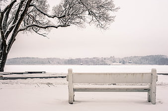 Lonely white bench in snowy winter landscape by frozen lake