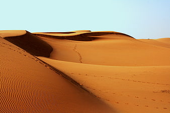 Golden sand dunes with footprints in vast desert landscape