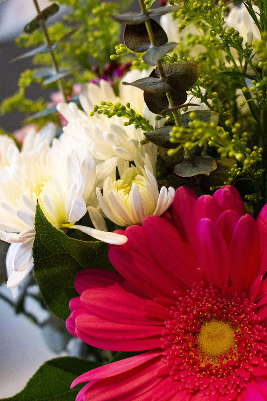 Vibrant Pink Gerbera Daisy and White Chrysanthemum Bouquet
