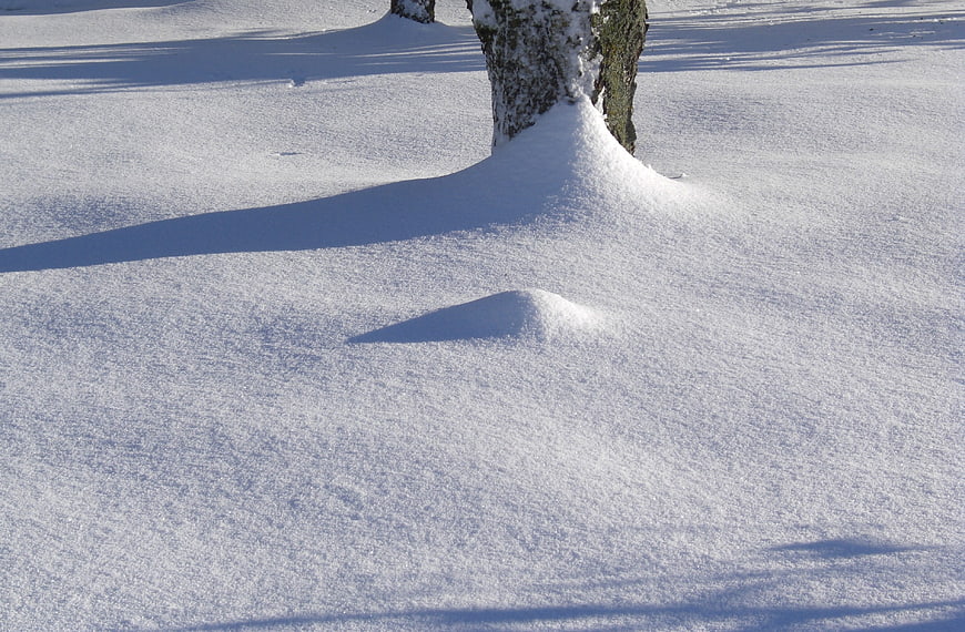 Snow-covered tree trunk and mound in winter landscape