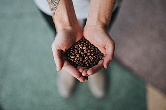 Hands holding roasted coffee beans from above
