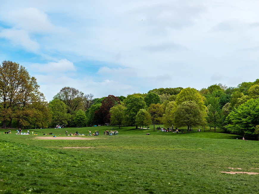 Wide View of People Relaxing in Green Park with Trees
