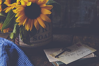 Rustic Sunflowers in Vintage Tin with Old Letters and Key