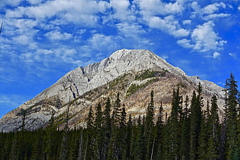 Majestic Rocky Mountain Peak with Pine Forest and Blue Sky
