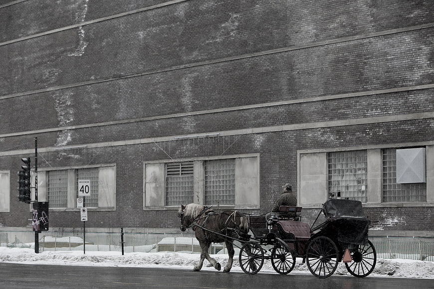Horse-drawn carriage on snowy urban street