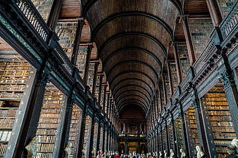 Long Perspective of Trinity College Library Reading Room in Dublin