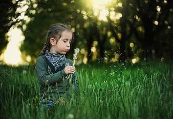 Little girl blowing dandelion seeds in sunny green grass