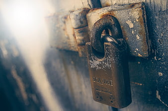 Vintage Rusty Squire Padlock on Weathered Metal Gate