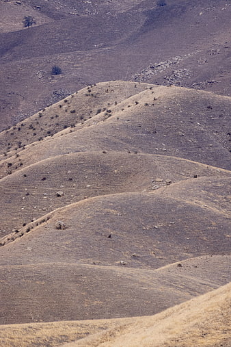 Rolling dry hills with sparse vegetation and rocks