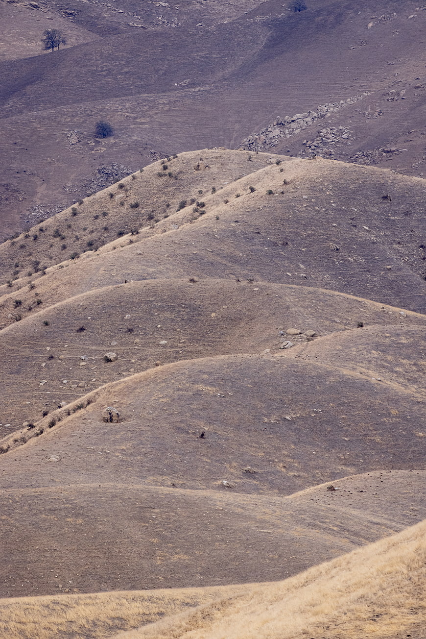 Rolling dry hills with sparse vegetation and rocks