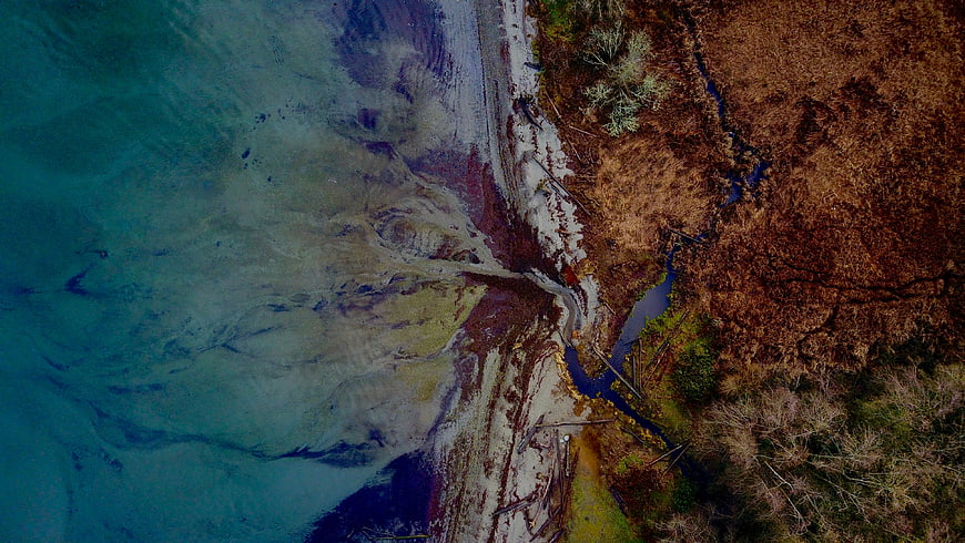 Aerial View of Turquoise Water Meeting Sandy Shoreline