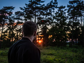 Man Watching Sunset Through Pine Trees
