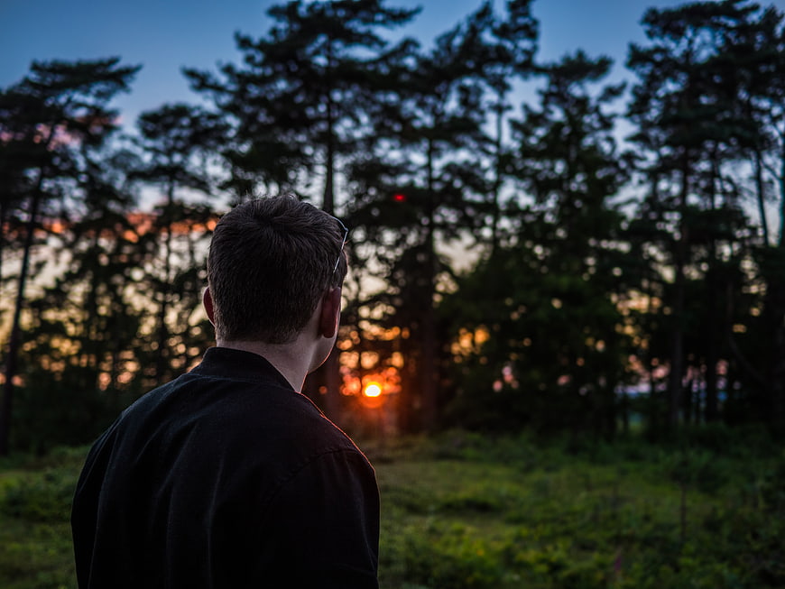 Man Watching Sunset Through Pine Trees