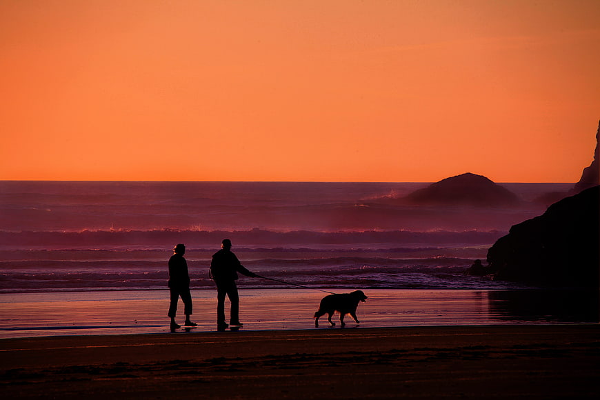 Silhouette of Couple Walking Dog on Beach at Sunset