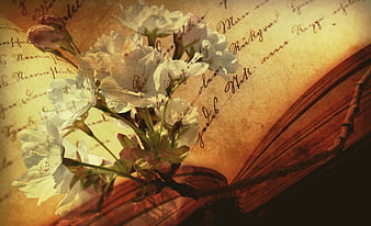Vintage cherry blossoms on old handwritten book pages
