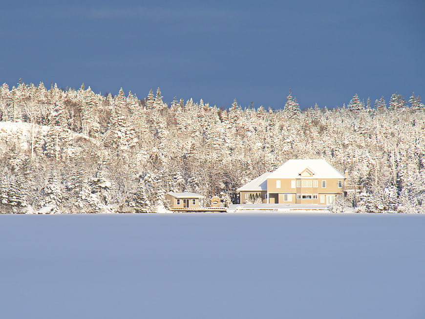 Snowy Lake House with Forest Background in Winter