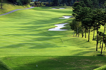Lush Green Golf Course Landscape With Water Hazards And Pine Trees