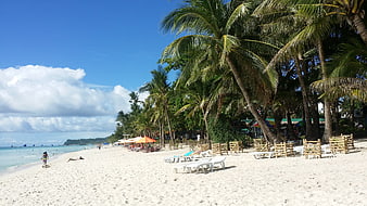Tropical Beach Scene With Palm Trees And White Sand