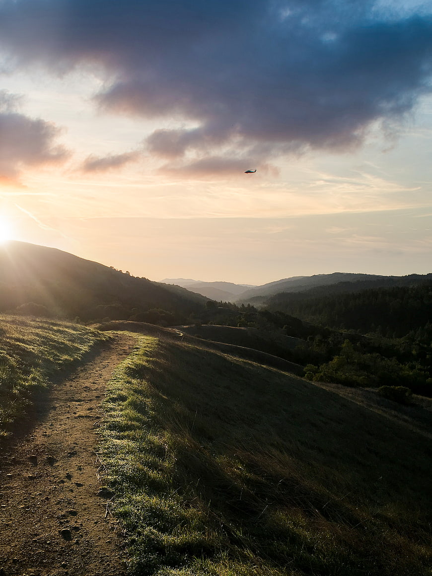 Sunlit Mountain Trail at Sunrise with Distant Bird