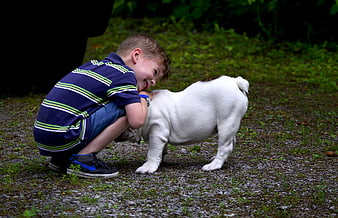 Boy Laughing While Hugging White English Bulldog Outdoors