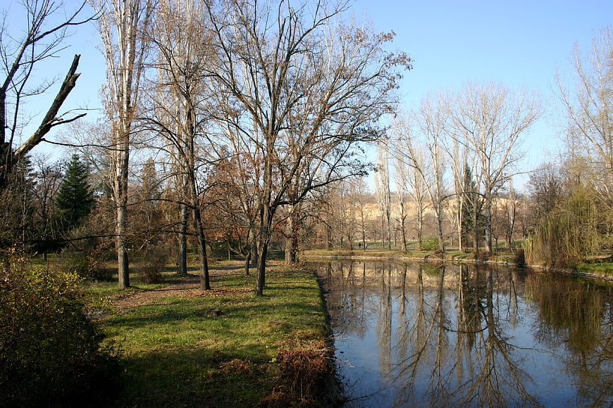 Serene Autumn Landscape with River and Bare Trees