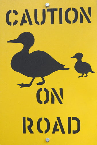 Yellow Caution Ducks on Road Sign with Silhouettes
