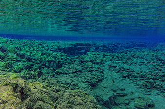 Underwater View of Rocky Seabed and Water Surface