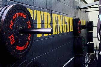 Close-up of gym weights and strength wall mural