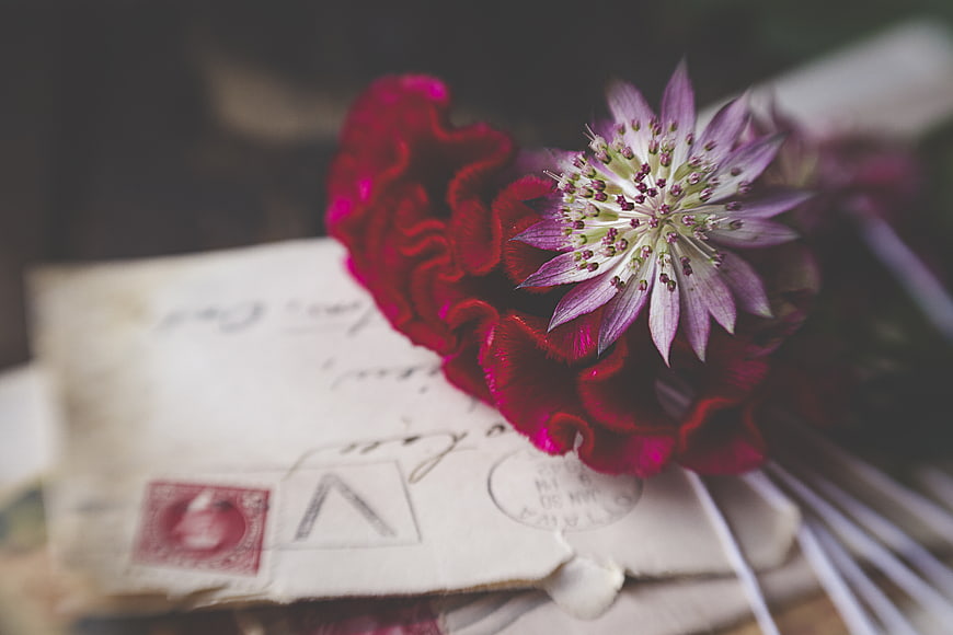 Vintage red carnation and purple flower on old handwritten letter