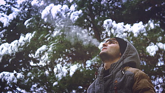 Young Man Looking Up at Snowy Pine Trees in Winter