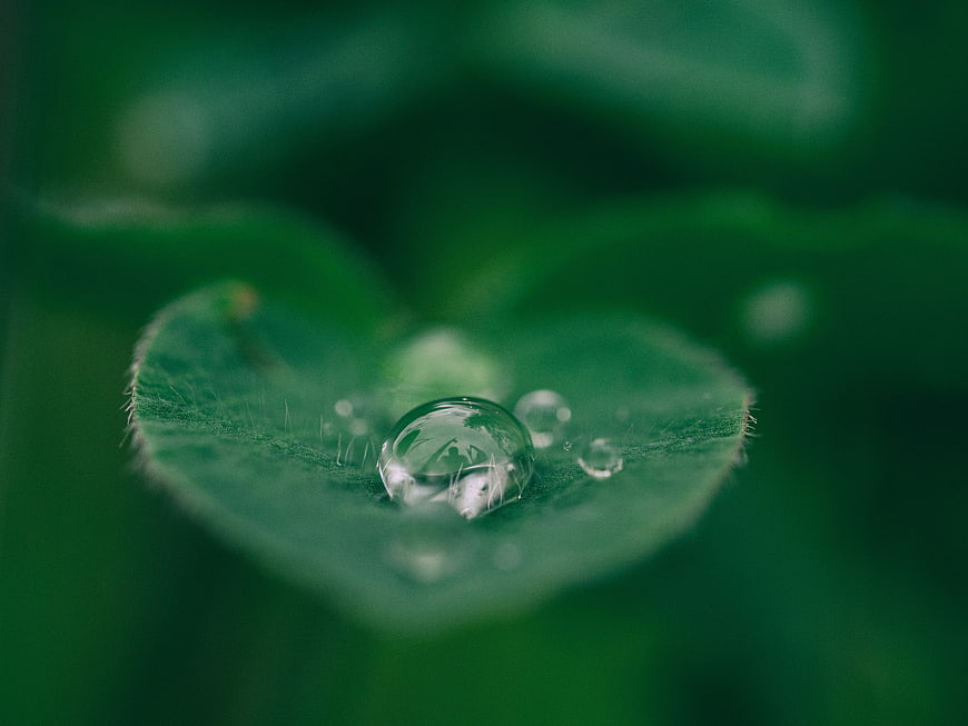 Macro water droplet on green leaf