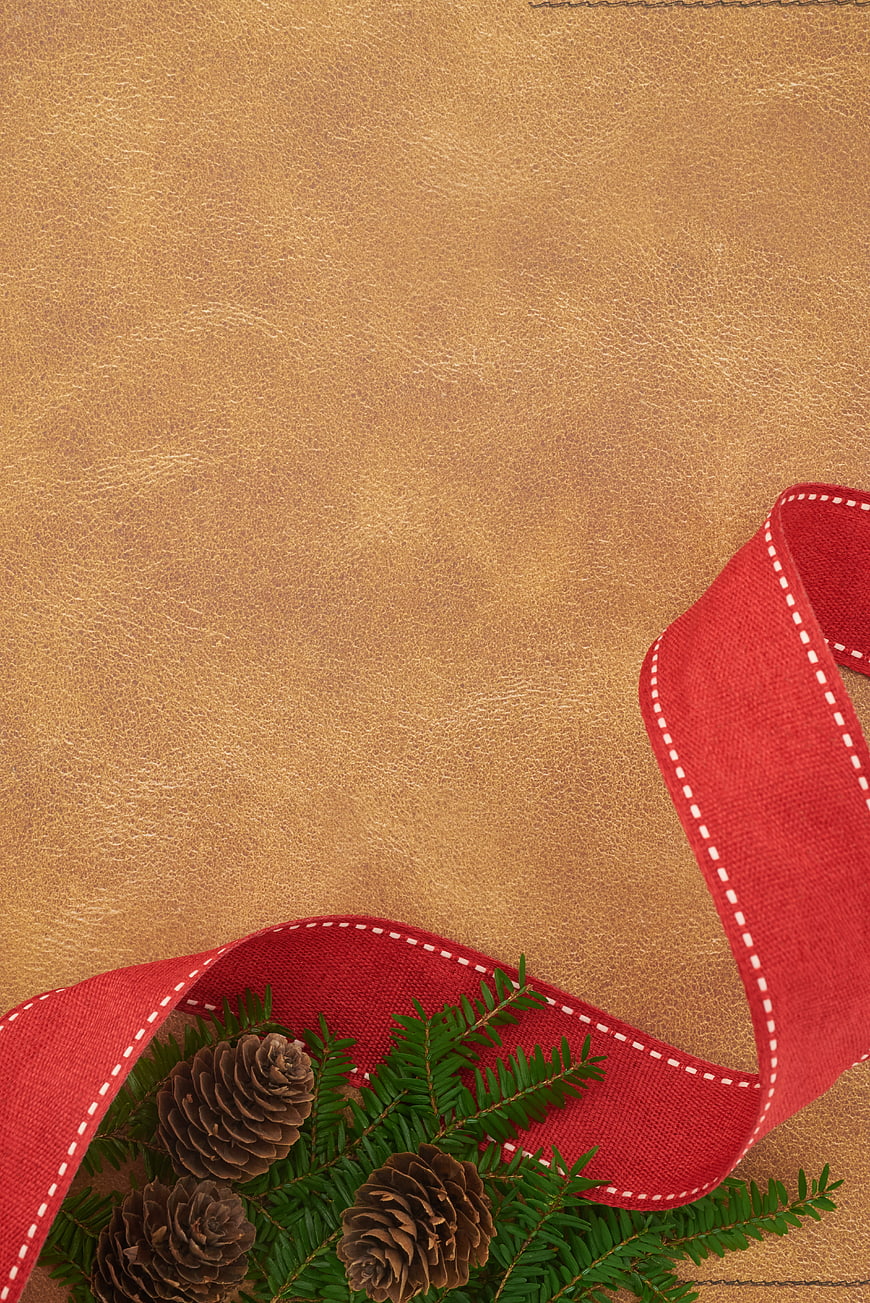 Christmas Pine Cones and Red Ribbon on Gold Leather Background