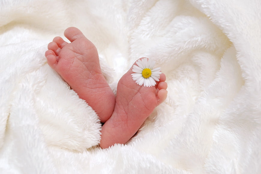 Newborn Baby Feet with White Daisy on Soft Blanket