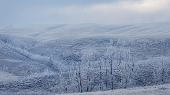 Frosty winter landscape with frozen trees and foggy hills