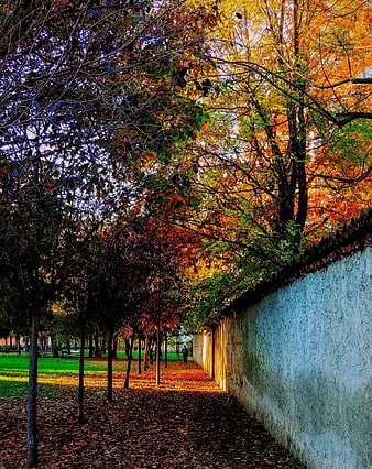 Autumn Park Path with Colorful Trees and Wall