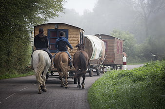 Horse-Drawn Caravans Traveling on a Misty Country Road