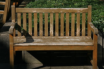 Weathered Wooden Park Bench in Sunlight