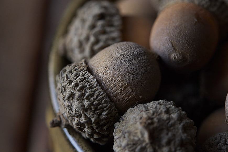Close-up of textured acorns in a rustic bowl