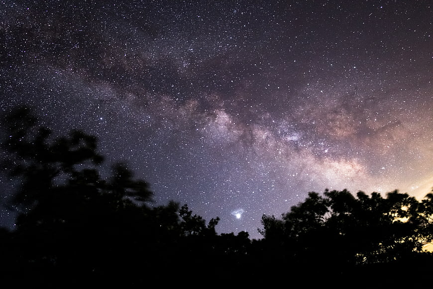 Milky Way Galaxy Over Silhouetted Trees at Night