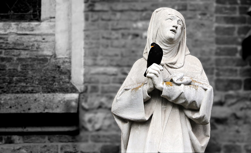 Blackbird perched on praying nun statue with selective color